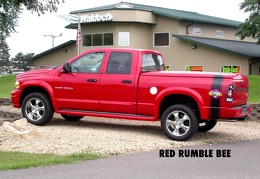 Red Rumble Bee copy 4