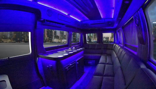 Limo Promaster 15Passenger - Waldoch