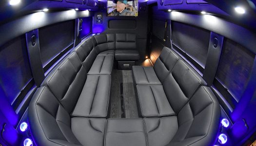 Limo_Promaster_Black_2 - Waldoch